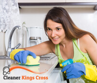 domestic_cleaning