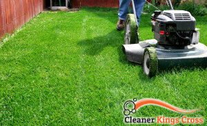 lawn-mowing-services-kings-cross