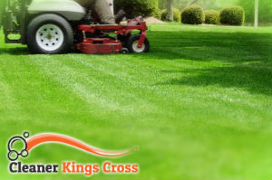 grass-cutting-kings-cross