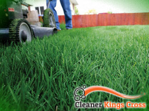 grass-cutting-services-kings-cross